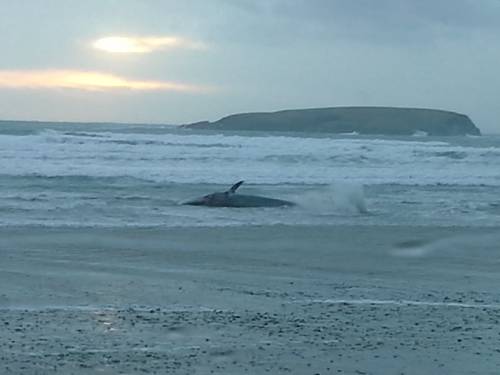 Quille Irlande code promo Booking.com