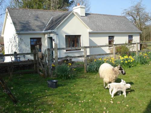 Tobercurry Irlande code promo Booking.com