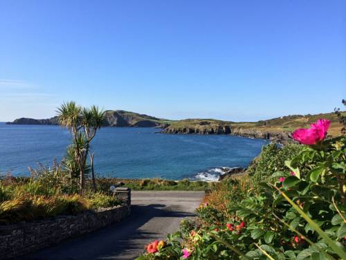 Tracarta Ireland Promo Code Booking.com