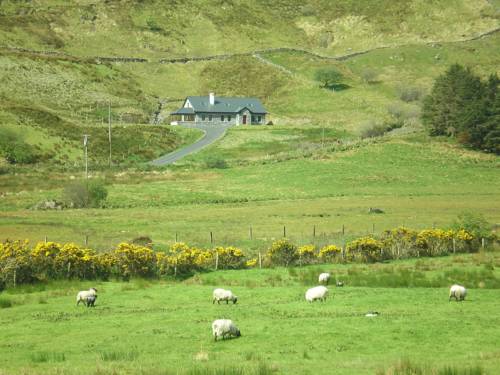 Galway Irland Rabattcode Booking.com