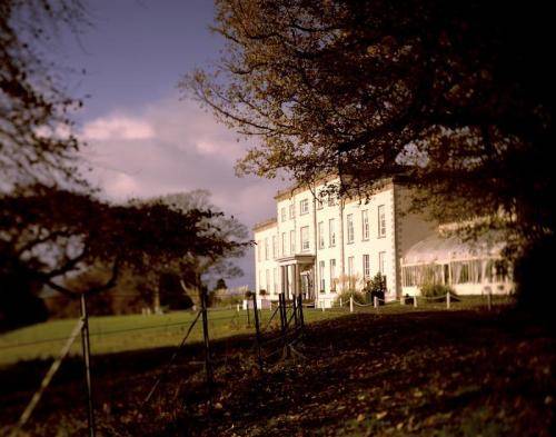 Kaasjeskruid Ierland promotiecode Booking.com